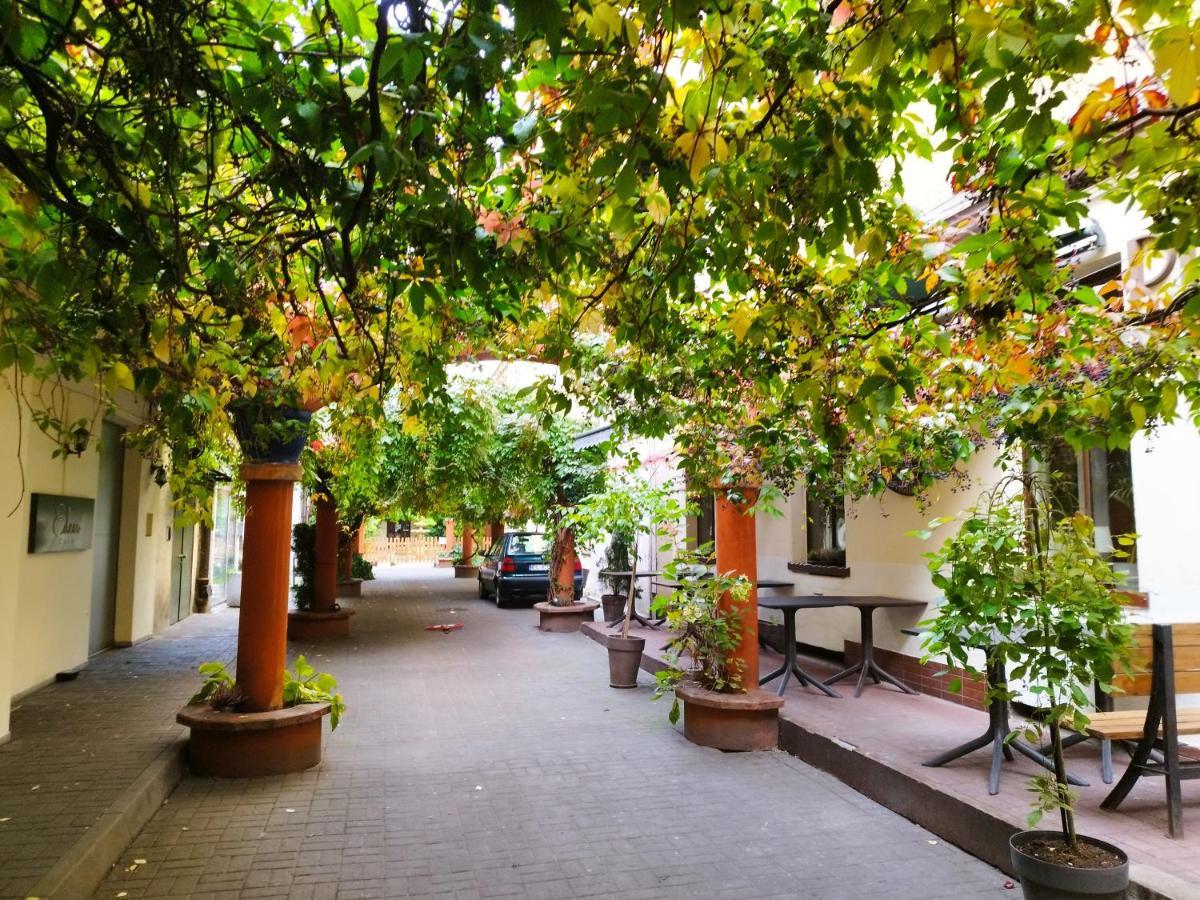 Apartament PIOTRKOWSKA Studio Łódź Zewnętrze zdjęcie